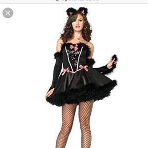 Halloween Black Cat, Catnip Cutie Costume